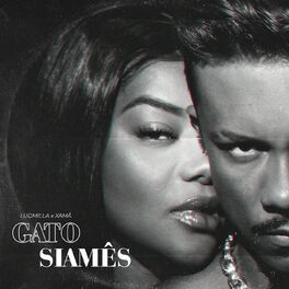 Album cover of Gato Siamês