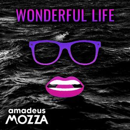 Album cover of Wonderful Life