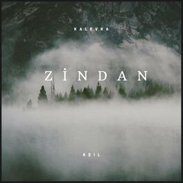 Album cover of ZİNDAN (feat. AŞIL)
