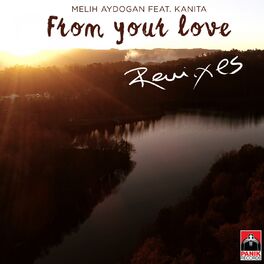Album cover of From Your Love (Remixes)