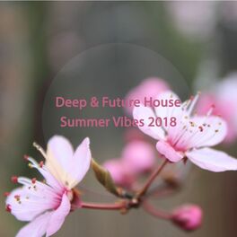 Album cover of Deep & Future House Summer Vibes 2018