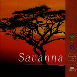 Album cover of Savanna