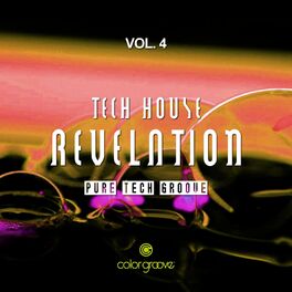 Album cover of Tech House Revelation, Vol. 4 (Pure Tech Groove)