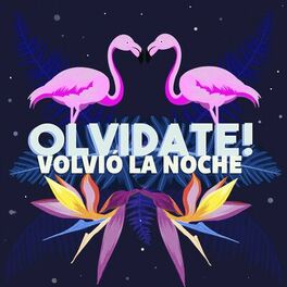 Album cover of Volvió la Noche
