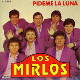 Album cover of Pideme la luna , la copa rota , la danza de los mirlos y otros exitos