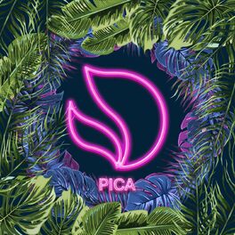 Album cover of Pica