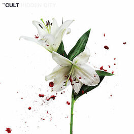 Album cover of Hidden City