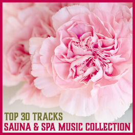 Album cover of Top 30 Tracks: Sauna & Spa Music Collection – Relaxation Music for Sauna Session, Thermal Baths, Healing by Touch, Soothe Your Sou