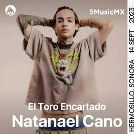 Album cover of El Toro Encartado (Natanael Cano)