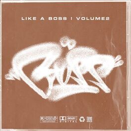 Album cover of Like A Boss ! Vol.2
