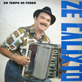 Album cover of Em tempo de forró