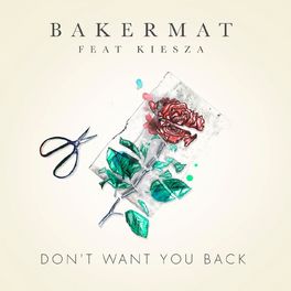 Album cover of Don't Want You Back (feat. Kiesza)