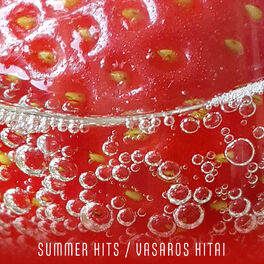 Album cover of Summer Hits / Vasaros hitai