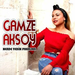 Album cover of Nerde Yedin Paraları