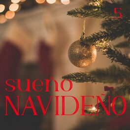 Album cover of Sueño Navideño Vol. 5