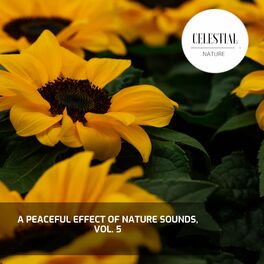 Album cover of A Peaceful Effect of Nature Sounds, Vol. 5