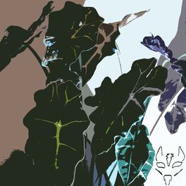 Album cover of Campfire