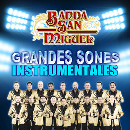 Album cover of Grandes Sones Instrumentales