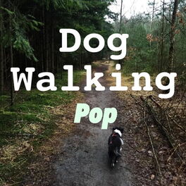 Album cover of Dog Walking Pop