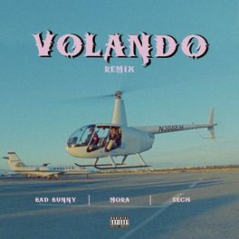 Album cover of Volando (Remix)