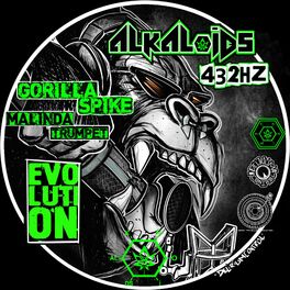 Album cover of Evolution (feat. Gorilla Spike & Malinda)