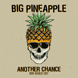 Album cover of Another Chance (Don Diablo Edit)