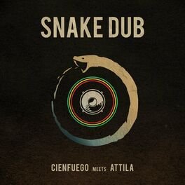 Album cover of Snake Dub (feat. attila)