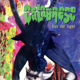 Album cover of Flee the Light