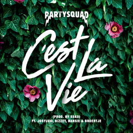 Album cover of C'est la vie