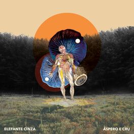 Album cover of Áspero e Cru