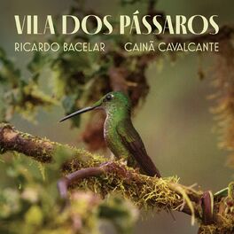 Album cover of Vila dos Pássaros