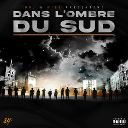 Album cover of Dans l'ombre du sud