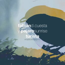 Album cover of Turista - Explicar los Pájaros