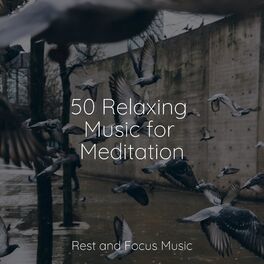 Album cover of 50 Relaxing Music for Meditation
