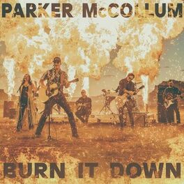 Album cover of Burn It Down (Radio Edit)