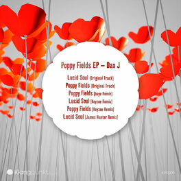 Album cover of Poppy Fields EP