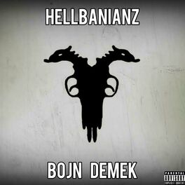 Album cover of Bojn Demek