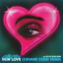 Album cover of New Love (feat. Diplo & Mark Ronson) (Shane Codd Remix)