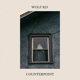 Album cover of Counterpoint