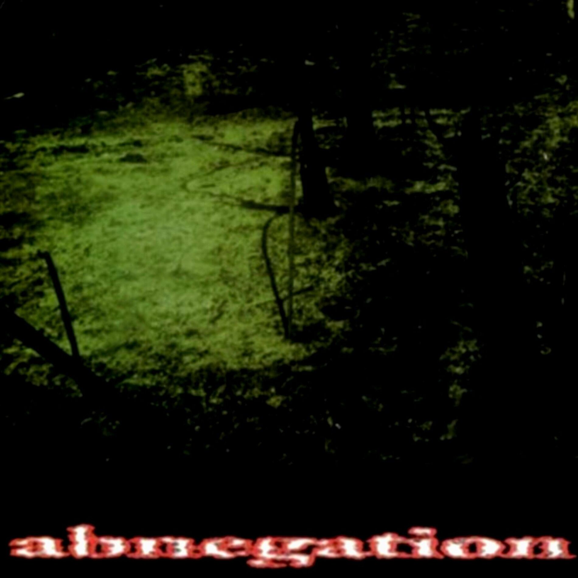 Abnegation - Verses Of The Bleeding: lyrics and songs | Deezer
