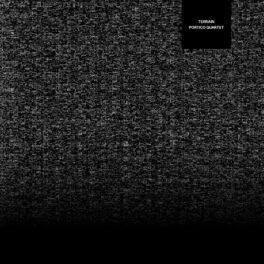 Album cover of Terrain