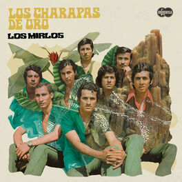 Album cover of Los Charapas de Oro