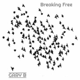 Album cover of Breaking Free