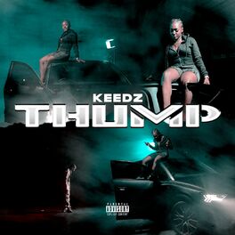 Album cover of Thump