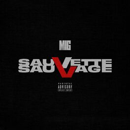 Album cover of Sauvette Sauvage