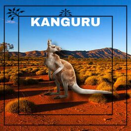 Album cover of Kanguru