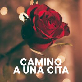 Album cover of Camino a una cita