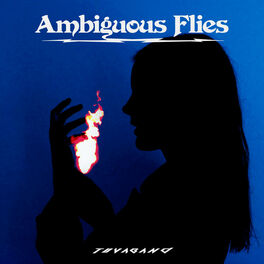 Album cover of Ambiguous Flies