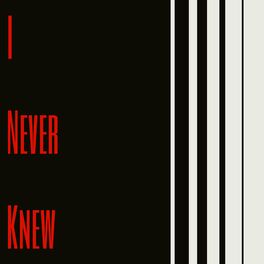 Album cover of I Never Knew