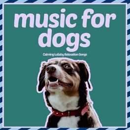 Album cover of Music for Dogs - Calming Lullaby Relaxation Songs
